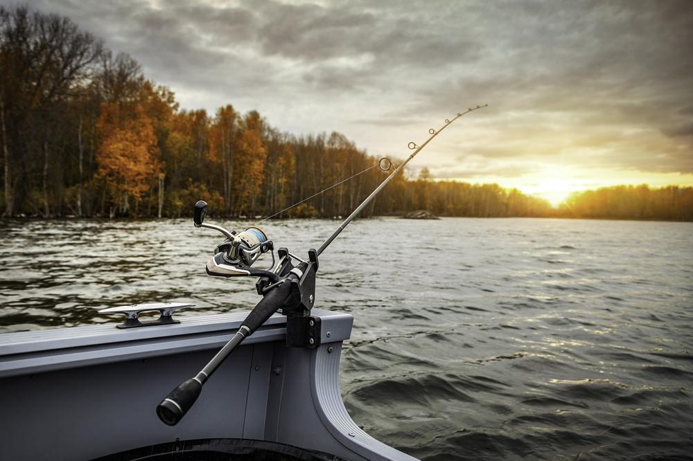 fishing tackle-dd2a29f86e584e54acd04c2835e9ce9a.jpg fishing tackle